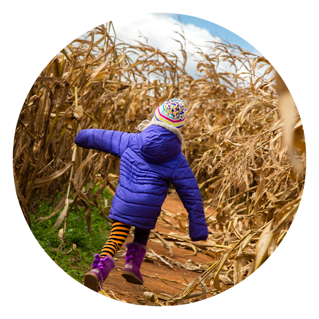 Child in corn maze