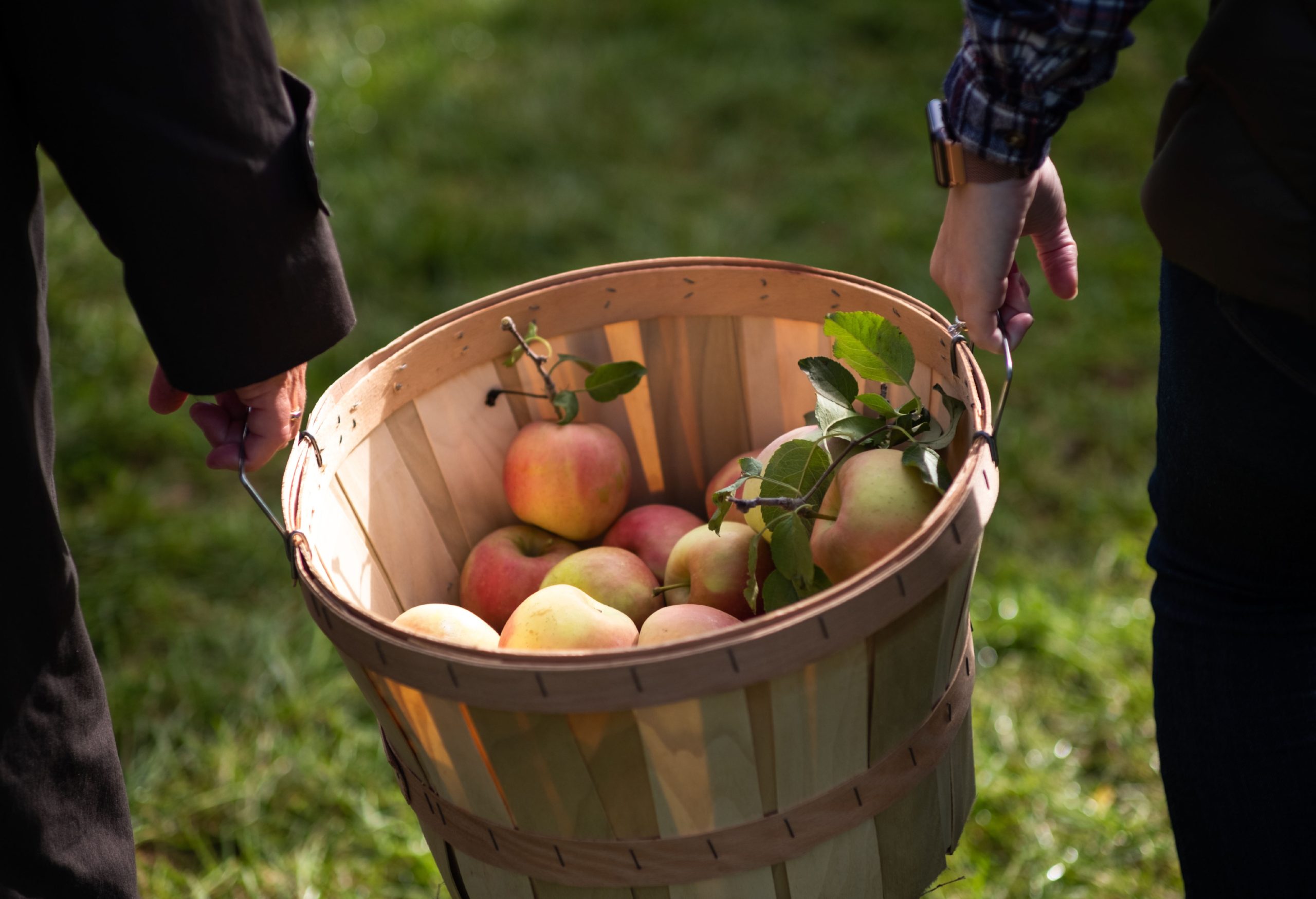 How to Keep Cut Apples Fresh - Robinette's Apple Haus & Winery