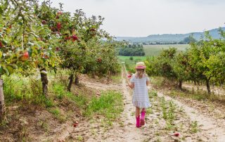 Girl walking through apple orchard
