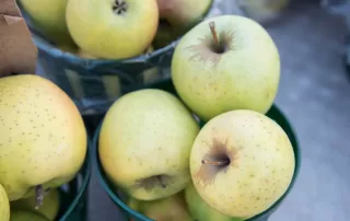 green mutsu apples in produce baskets