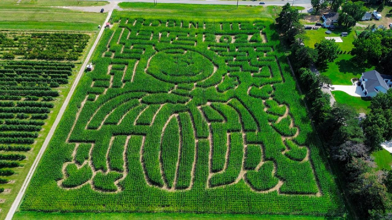 Peanuts themed corn maze 2024 with Charlie Brown and a pumpkin.